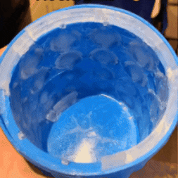 COMBO VASO MOLDE DE HIELO + CALENTADOR DE TAZA 😱🤩